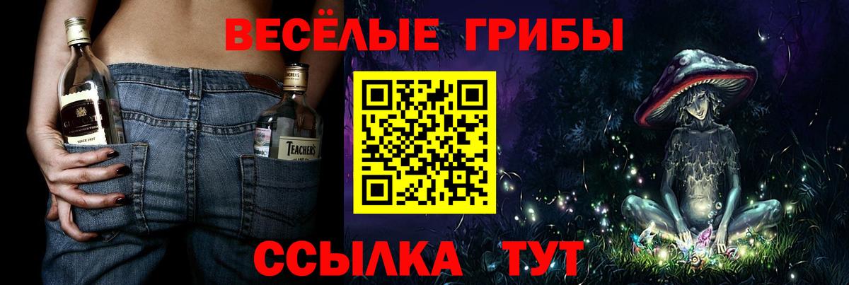 Галлюциногенные грибы мицелий  Псилоцибиновые грибы ЛСД  Крымск  Вход с VPN 